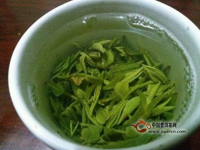 舒城小兰花是绿茶吗