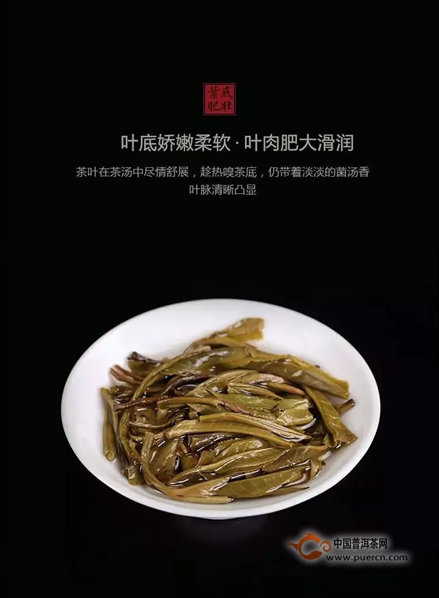 给时间予时间，来自深山的力量