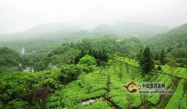 峨眉毛峰茶的产地