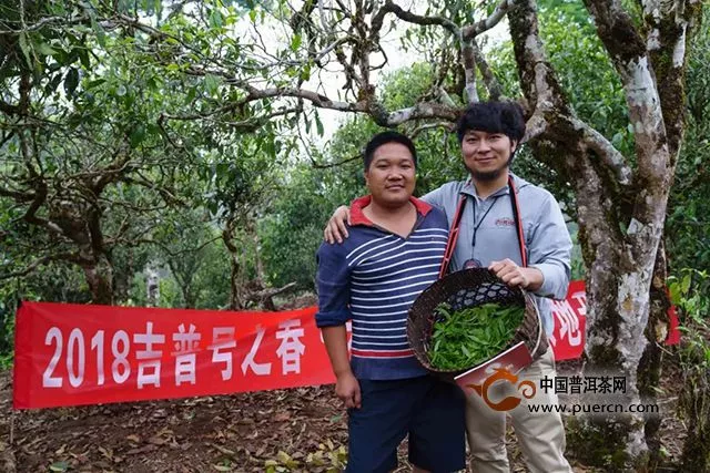 或許，這是今年性價比最高的生茶！