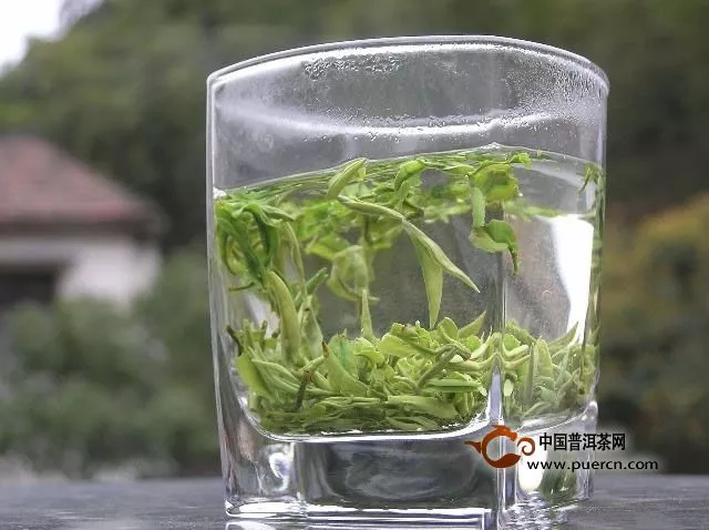 九華佛茶怎么樣