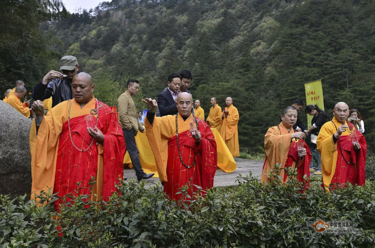 黄石溪毛峰简介