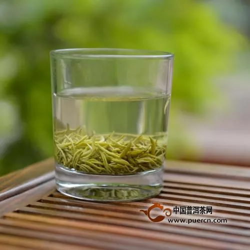 南山白毛茶保健功效