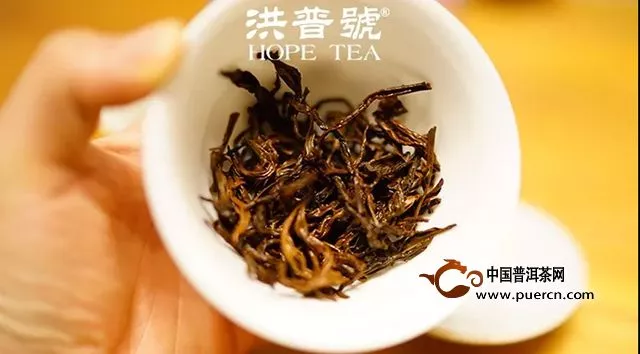 【视频】第一次喝秋茶，我劝你慢慢来！