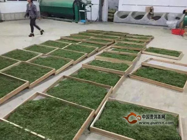 山巖翠綠茶