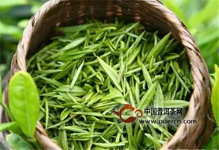 江華毛尖屬于什么茶類