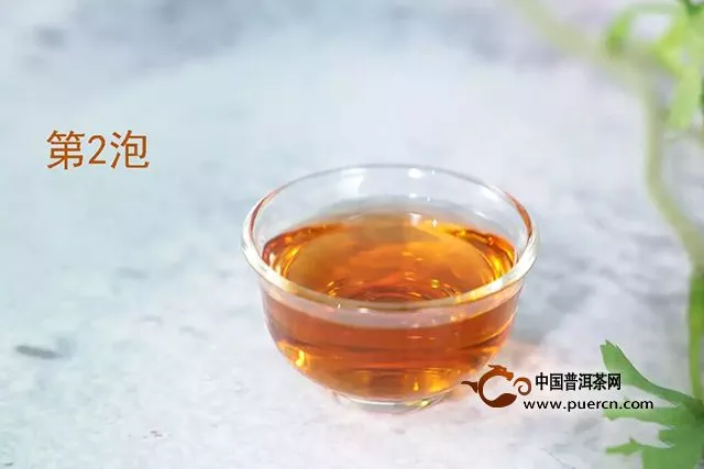 實(shí)測(cè)｜圈枝柑+紫芽熟茶，泓達(dá)堂這款特色小青柑將帶來(lái)怎樣的口感魅力？