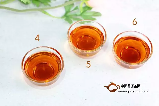 實(shí)測(cè)｜圈枝柑+紫芽熟茶，泓達(dá)堂這款特色小青柑將帶來(lái)怎樣的口感魅力？