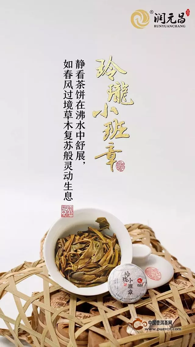 玲珑小班章：小而精，随时随地可享的品位之茶