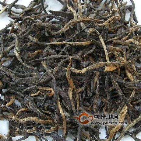 龙舞茶多少钱一斤