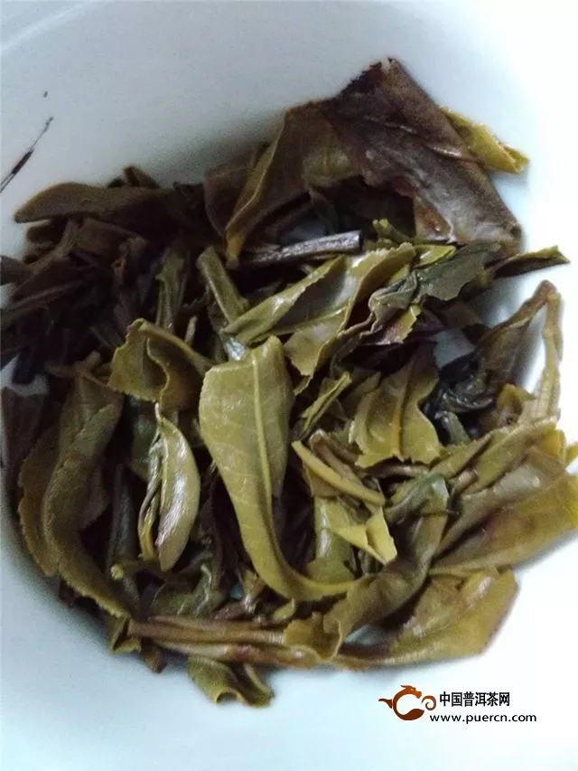  2015年彩农茶（春）勐库春天 生茶 357克试用评测