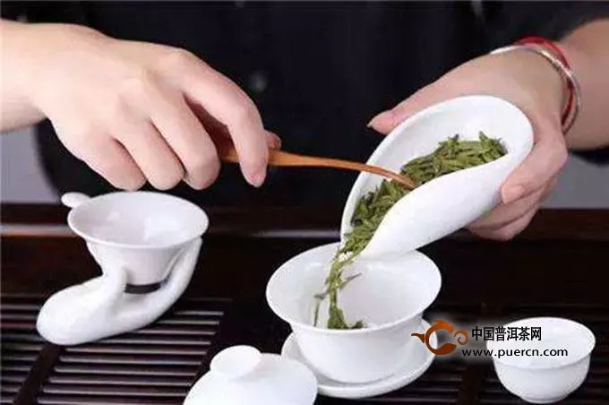 河西園茶怎么沖泡