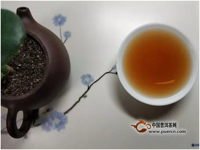 來自大理無量山的韻味——試飲俊仲號紫條茶