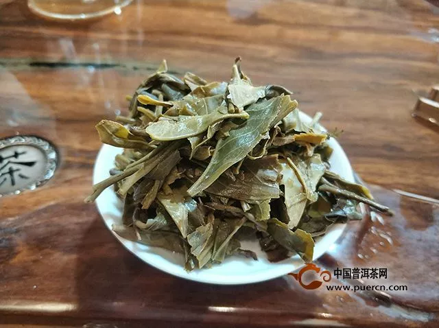 中秋月圓遇靈葉，茶醉秋風(fēng)無俗聲-2018年八角亭冰島古樹品評記