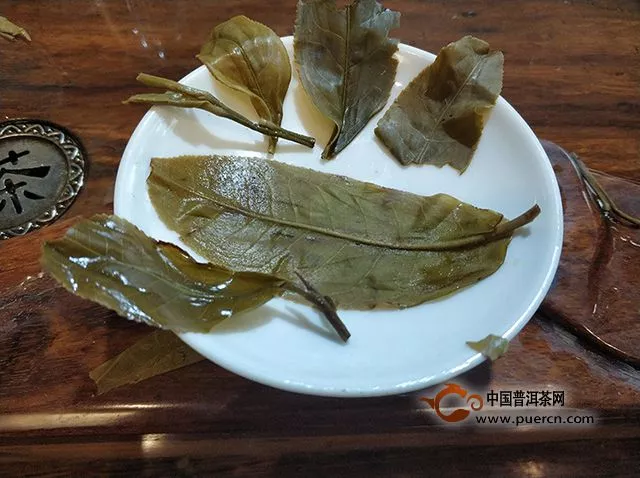 中秋月圓遇靈葉，茶醉秋風無俗聲-2018年八角亭冰島古樹品評記