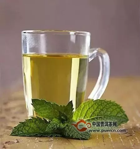 湘波绿属于什么茶