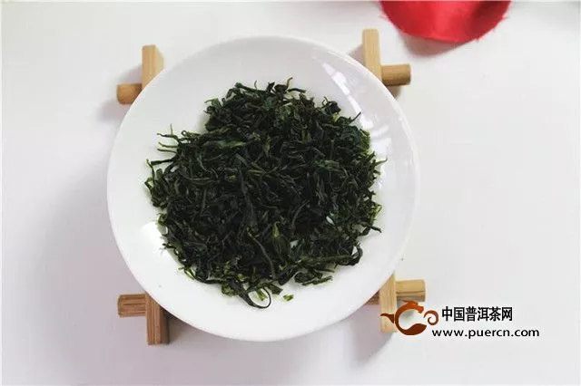 小葉苦丁茶的食用禁忌