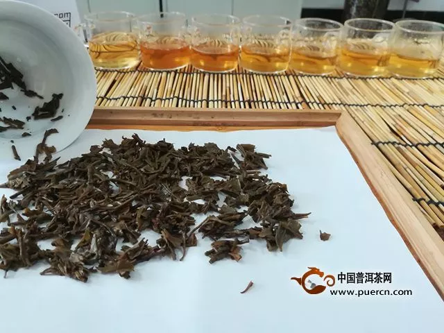 好喝不貴 大益小金沱適合年輕的你