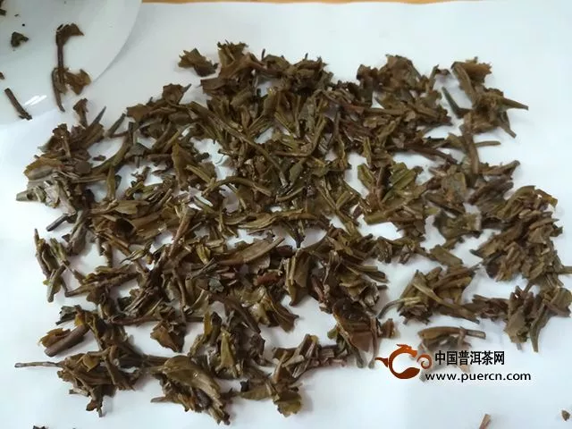 好喝不貴 大益小金沱適合年輕的你