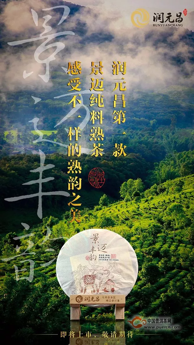 新品預(yù)告｜景邁純料熟茶，綻放甜美豐韻