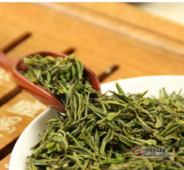 龙岩斜背茶是绿茶吗