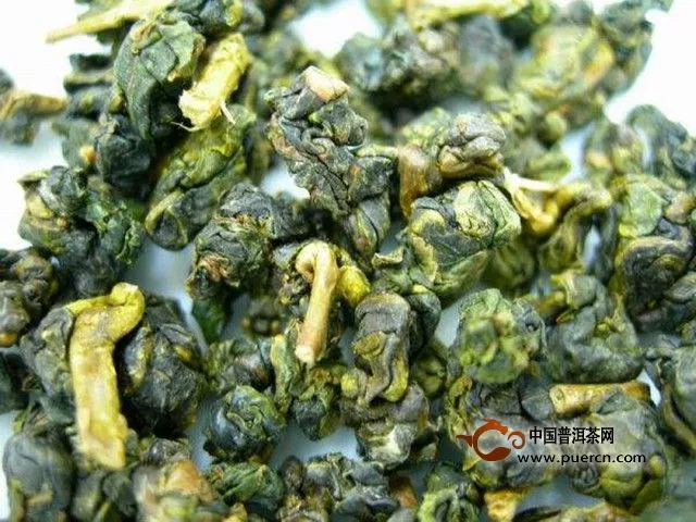 金萱茶的外形是什么样的