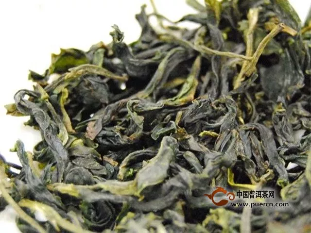 文山包种茶品种特征