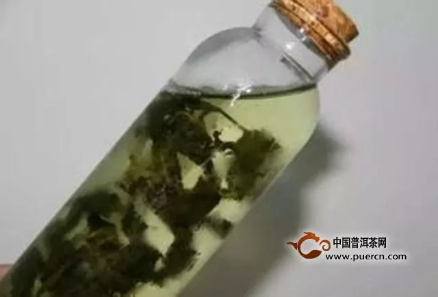 梨山茶可以冷水沖泡嗎