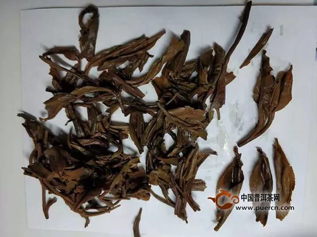 2012年陈升号陈升精品生茶评测报告