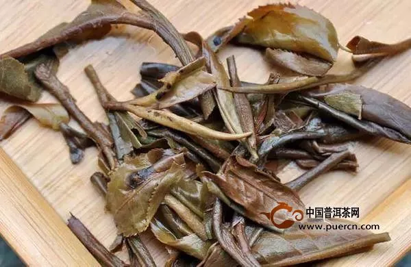 通过叶底简单辨别好茶的方法！