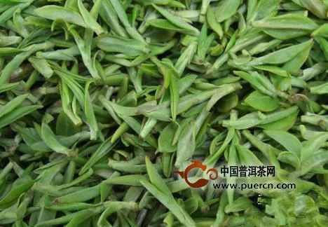 太白頂芽多少錢(qián)一斤