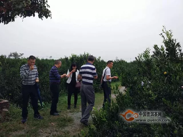 江门市农业局组织到泓达堂庄园指导交流