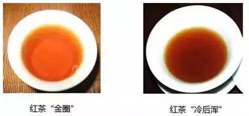 什么是优质红茶的"金圈"和"冷后浑"？