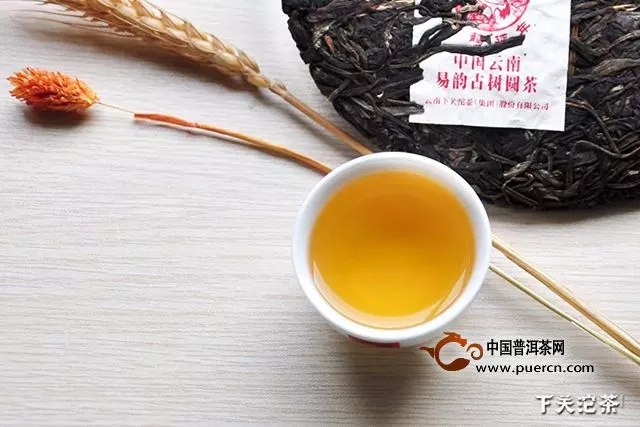 【新品】中国云南易韵古树圆茶