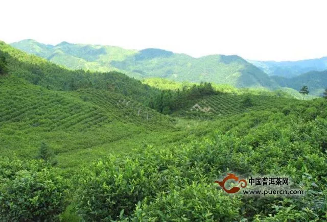 婺州举岩茶产地环境