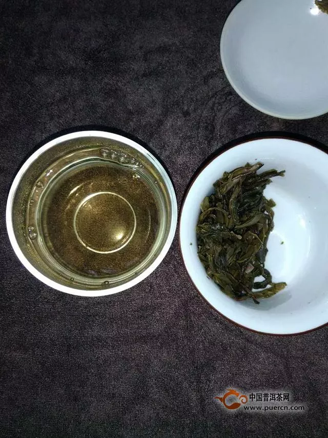 大富大贵，大富赛老树茶｜2015年云章大富赛老树茶生茶评测报告