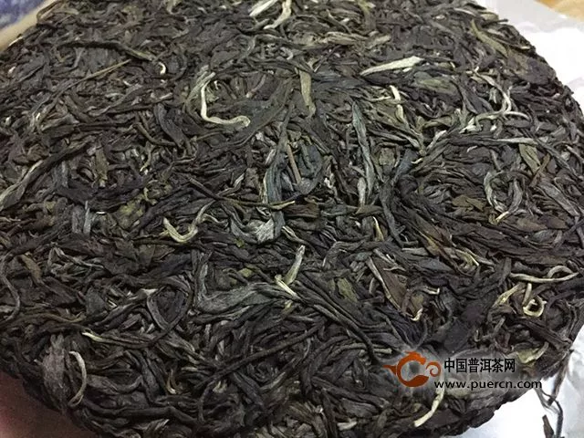 云章2015大富賽老樹(shù)茶試茶報(bào)告