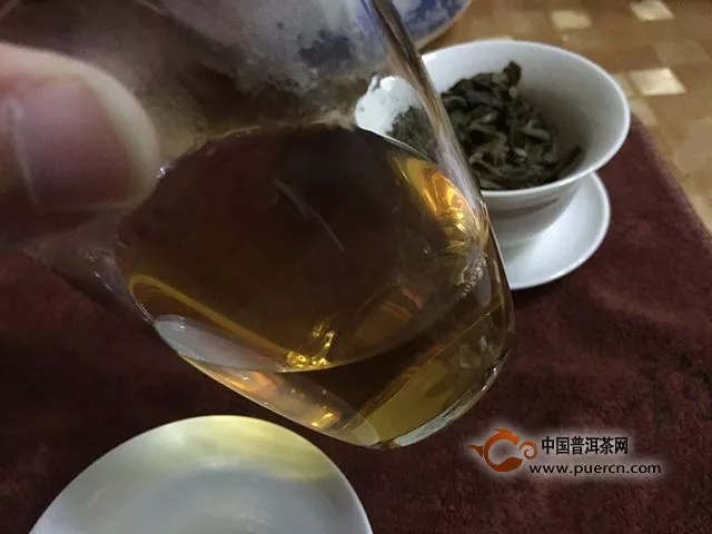 云章2015大富賽老樹茶試茶報告