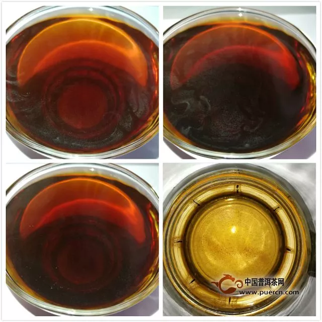 2015年杨普号·依止（熟茶）—— 不错的“勐海味儿”口粮熟茶