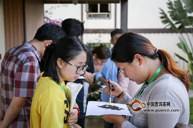 大益職業(yè)茶道師大賽晉級賽明早開戰(zhàn)，選手們緊張到手抖？