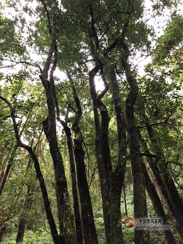 困鹿山，秋日暖飲！