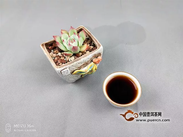 【興海一號大樹熟普】｜來自茶友的真實品鑒報告