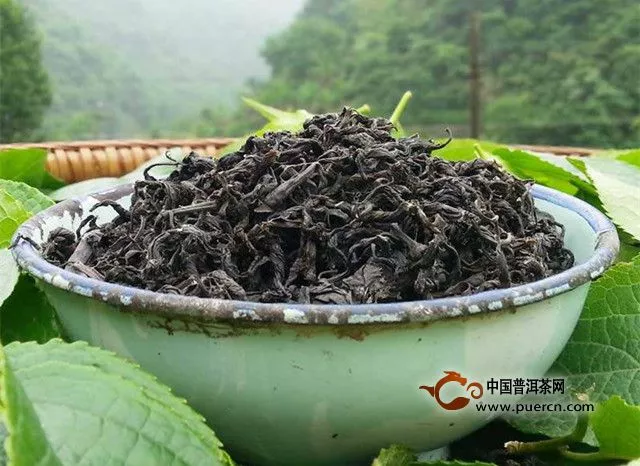 杜仲茶的来历