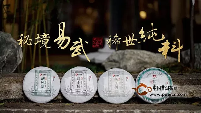 绿城盛宴倒计时｜逛南宁茶博会，润元昌展位有哪些好茶是必喝的？