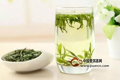 狗腦貢茶的功效與作用