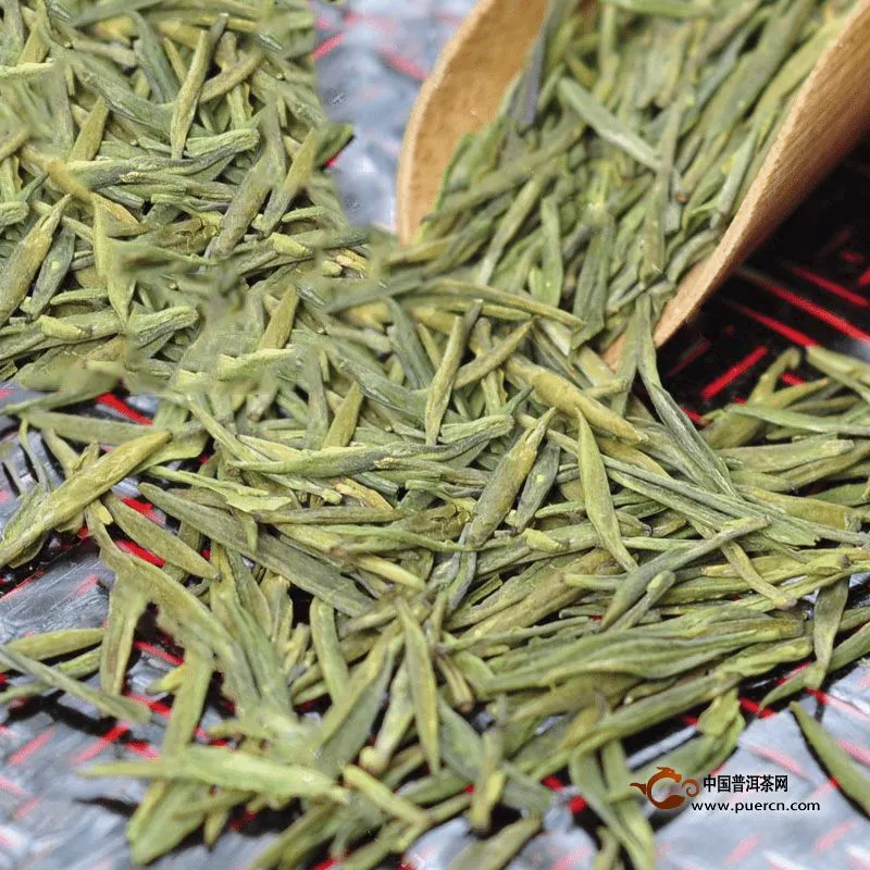 绿剑茶多少钱一斤