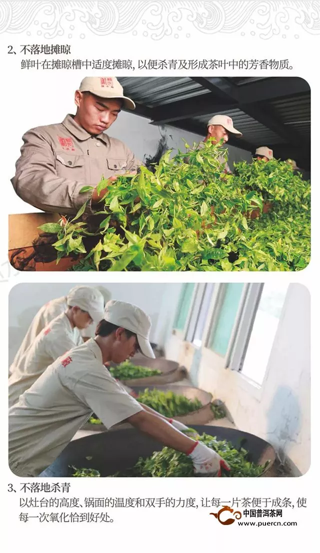 陈升学堂｜第67期：十三张图，看懂陈升号大树茶的生产流程