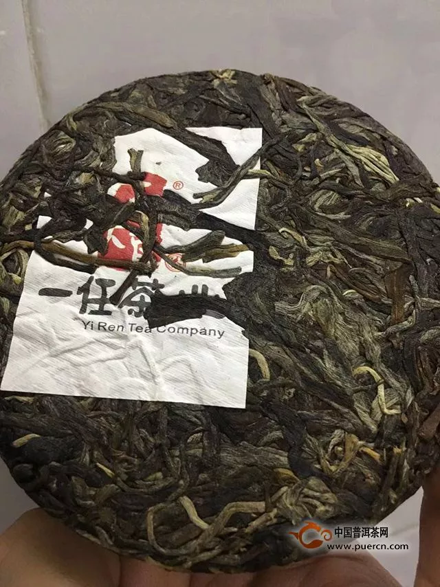 好一個南糯山古茶——一任天真