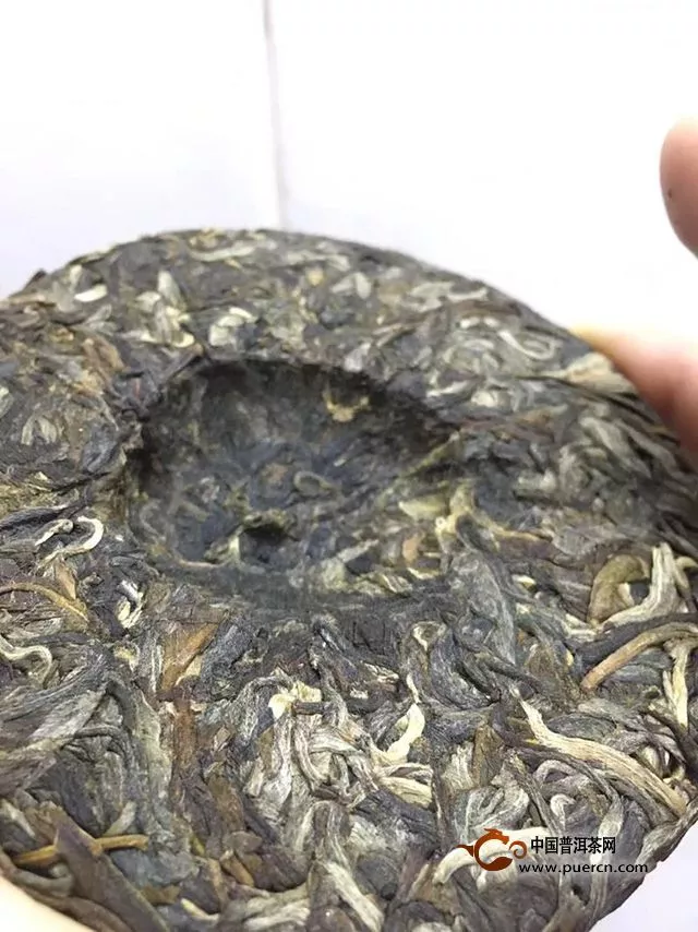 好一個南糯山古茶——一任天真