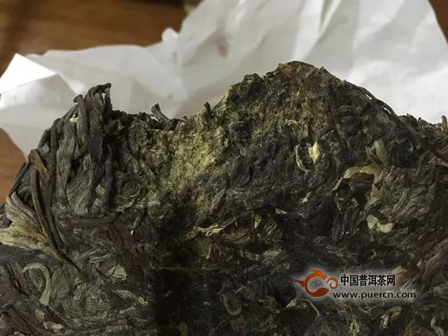 好一個南糯山古茶——一任天真